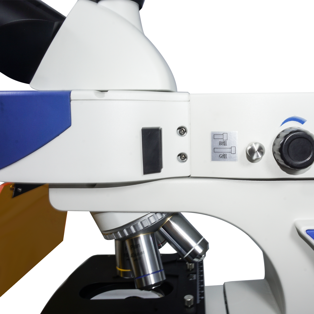 Fluorescence Microscope